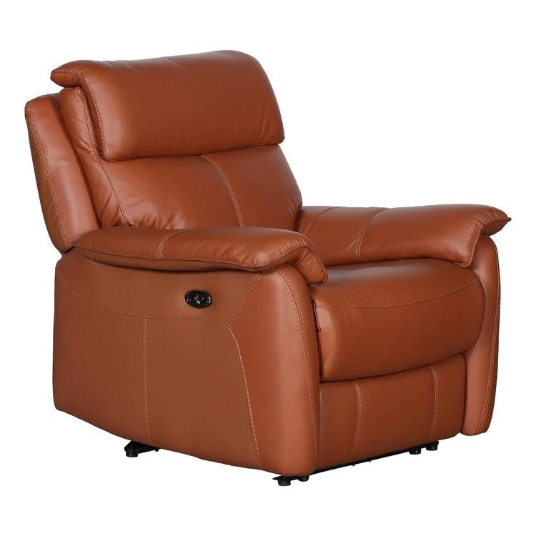 Leather Luxe Haven  1 Seater Recliner