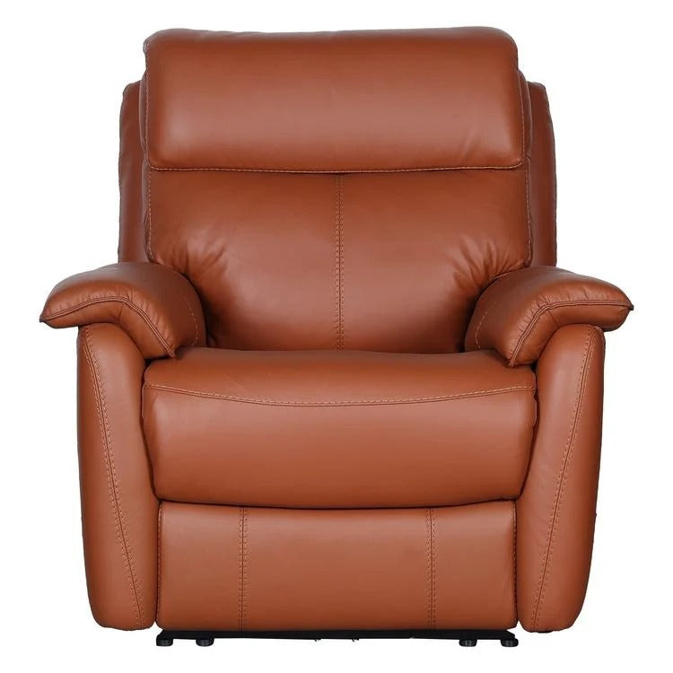 Leather Luxe Haven  1 Seater Recliner
