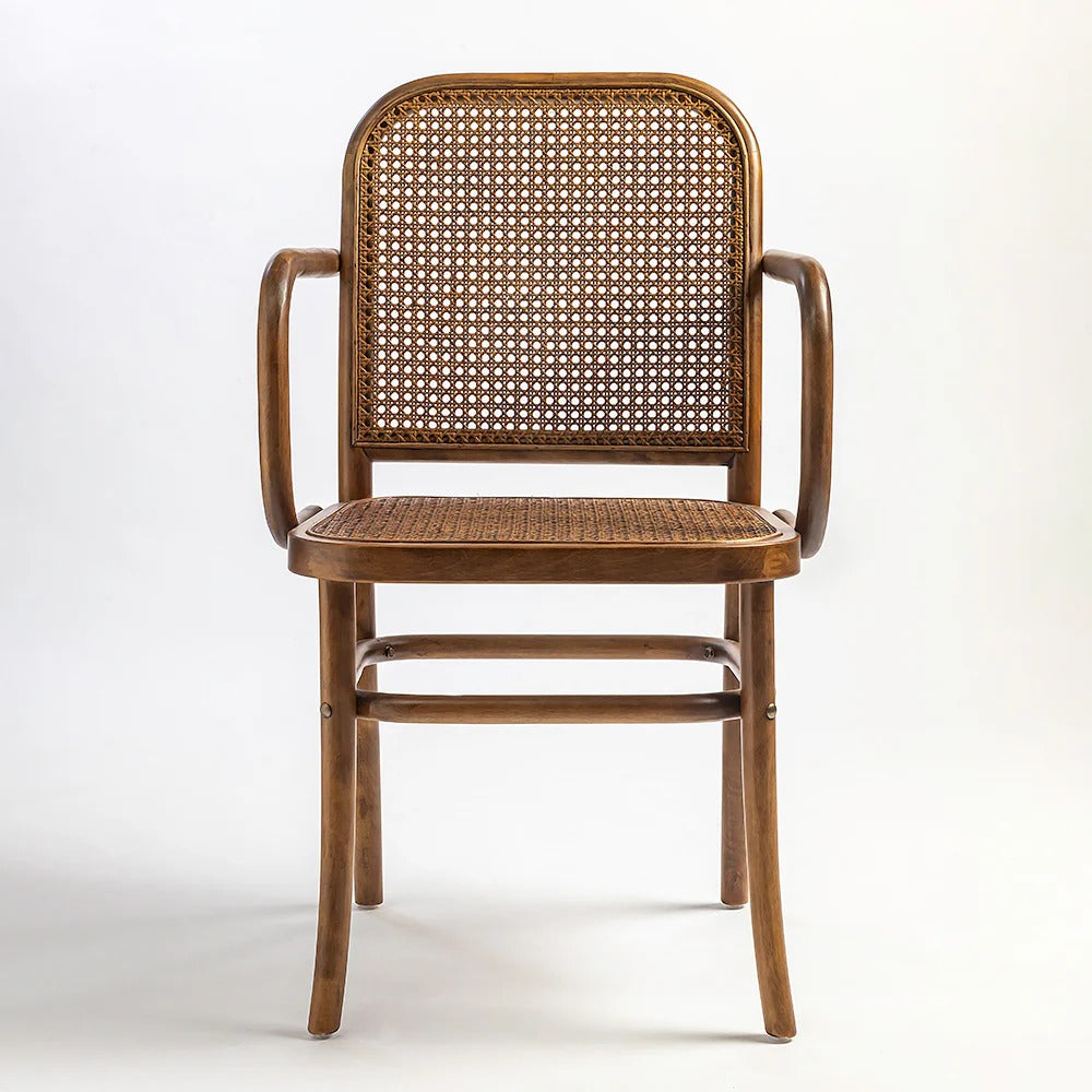 Curved Cane Arm Chair