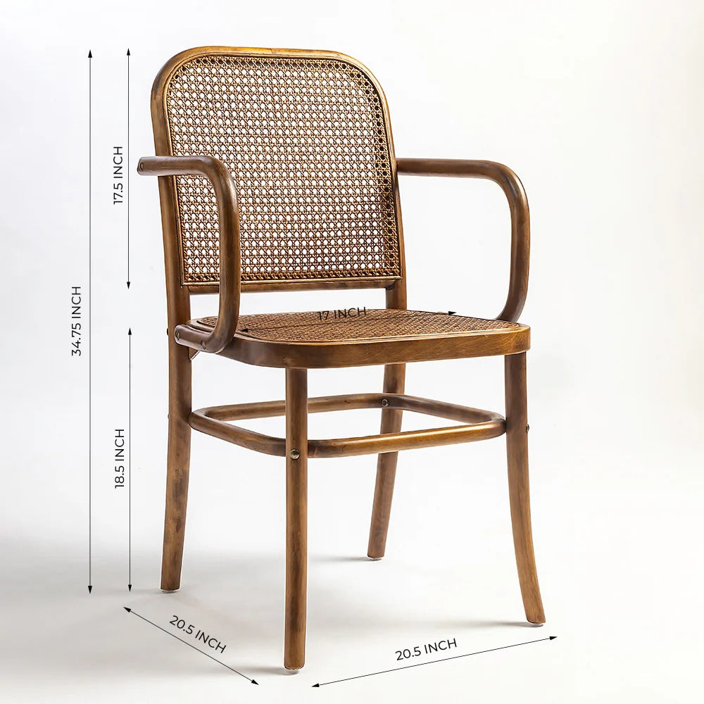 Curved Cane Arm Chair