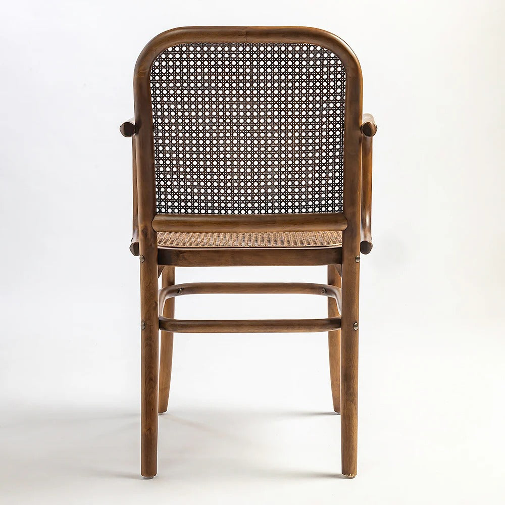 Curved Cane Arm Chair