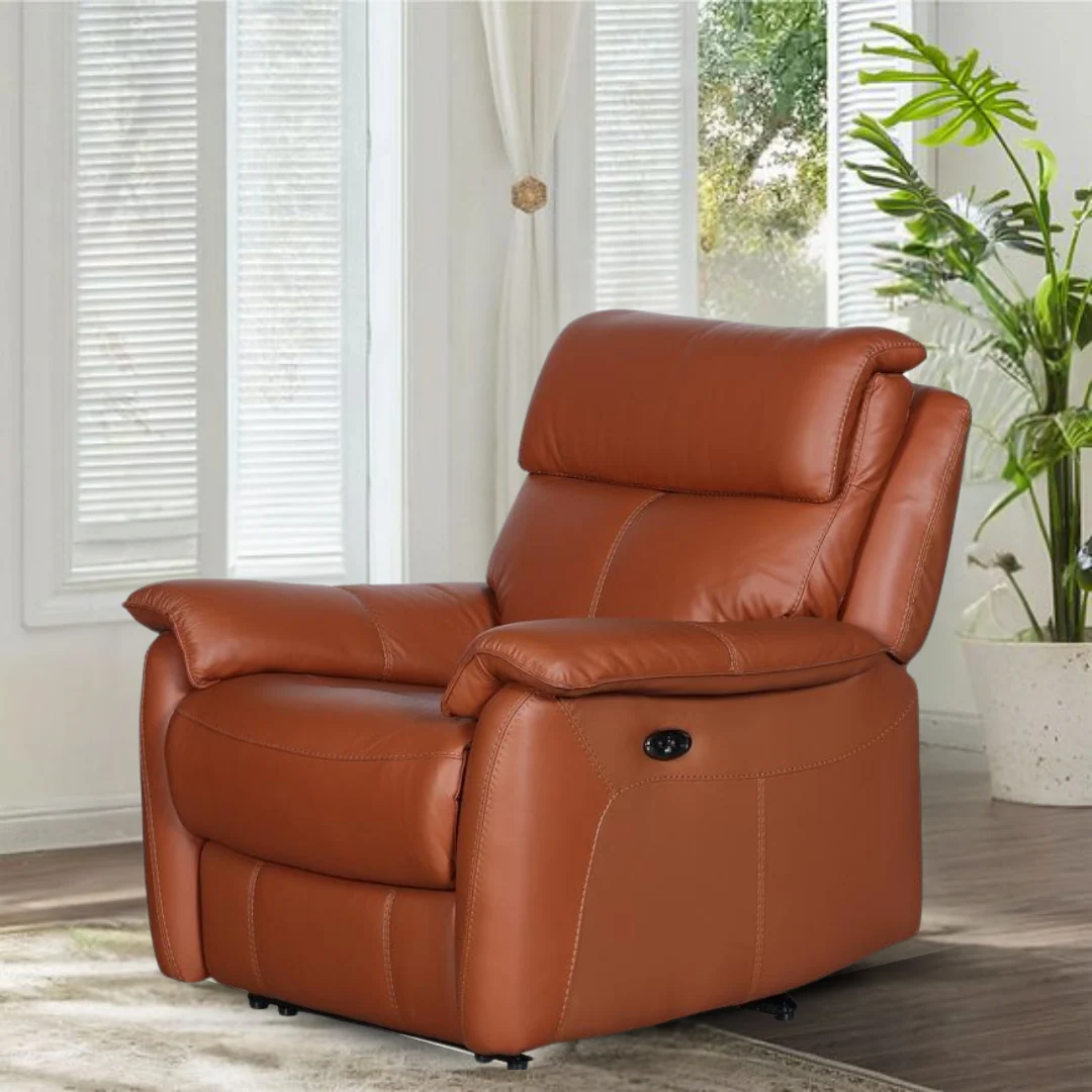 Leather Luxe Haven  1 Seater Recliner