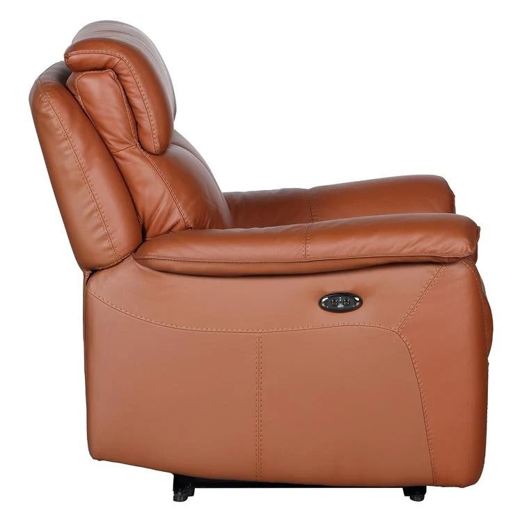 Leather Luxe Haven  1 Seater Recliner