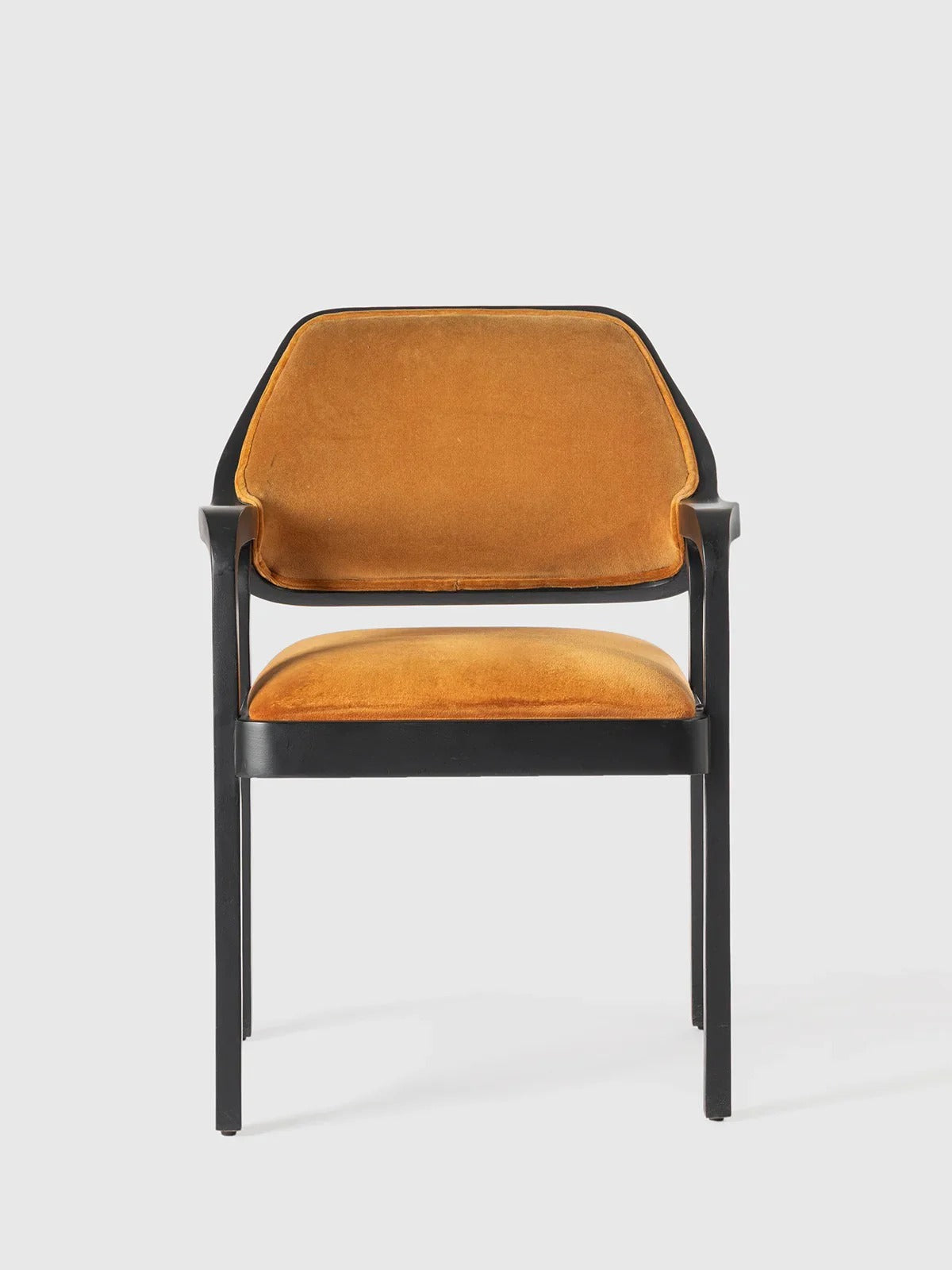 Mustard velvet modern armchair.