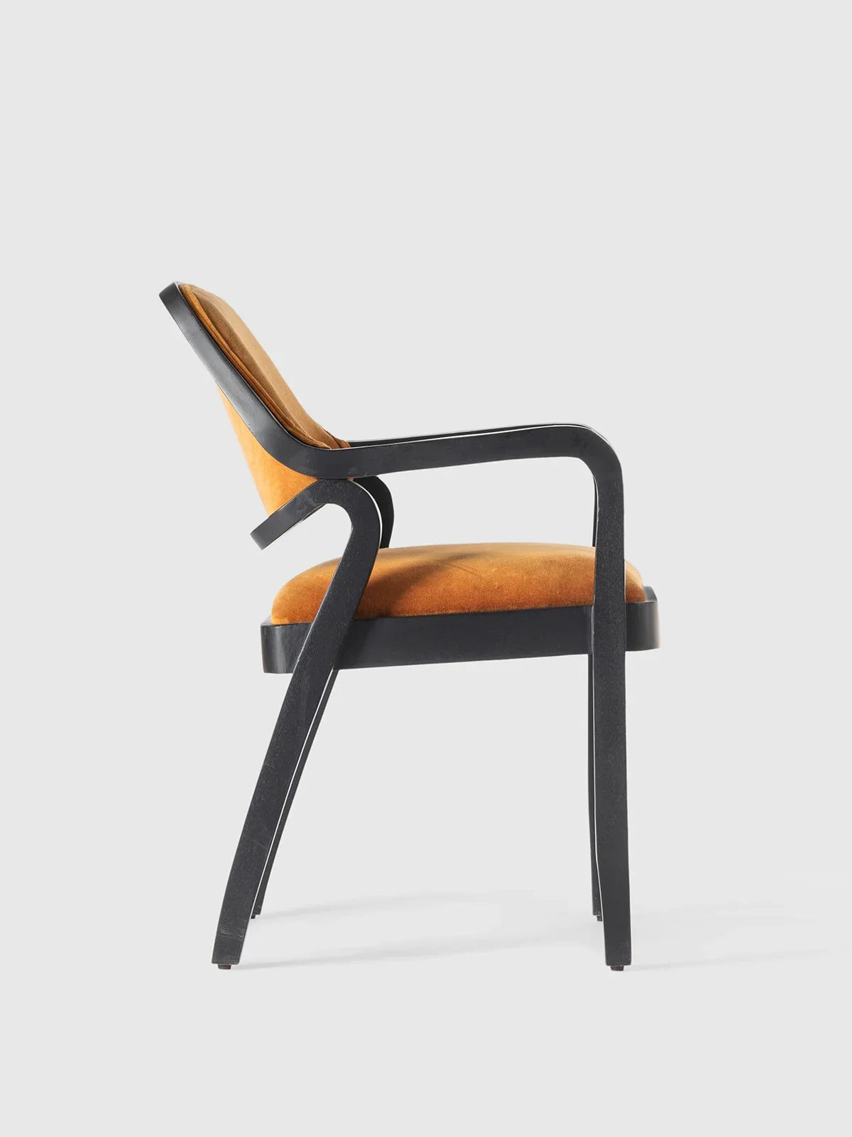 Mustard velvet modern armchair.
